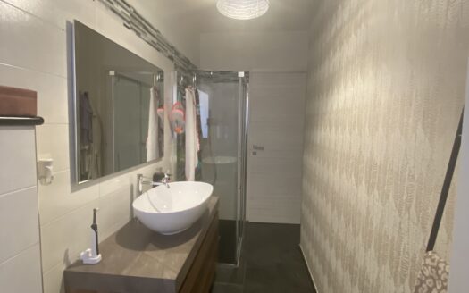 Alloggio 4 locali ristrutturato con box