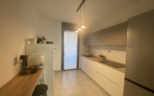 Alloggio 4 locali ristrutturato con box