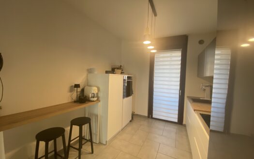 Alloggio 4 locali ristrutturato con box