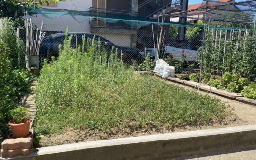 Alloggio trilocale con box e orto
