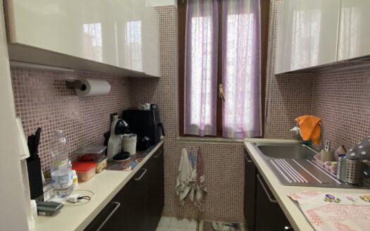 Trilocale completamente arredato con box auto